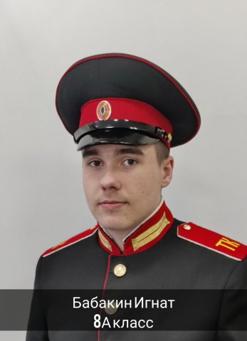 Бабакин Игнат.