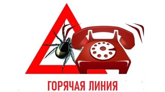 Всероссийская «горячая линия» по профилактике клещевого энцефалита.